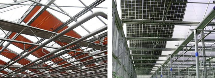 Photovoltaic Greenhouse image 8