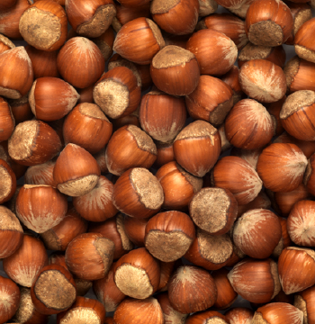 Natural and Processed Hazelnuts in a Variety of Grades image 1