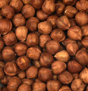 Natural and Processed Hazelnuts in a Variety of Grades image 2