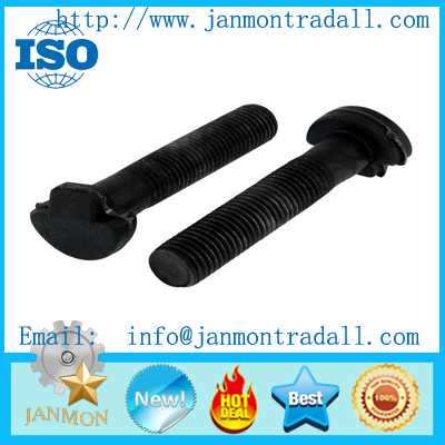 Stainless Steel Bolt Bolt-059