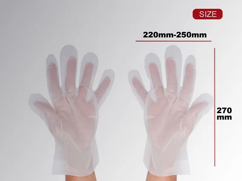 Disposable TPE Glove image 1