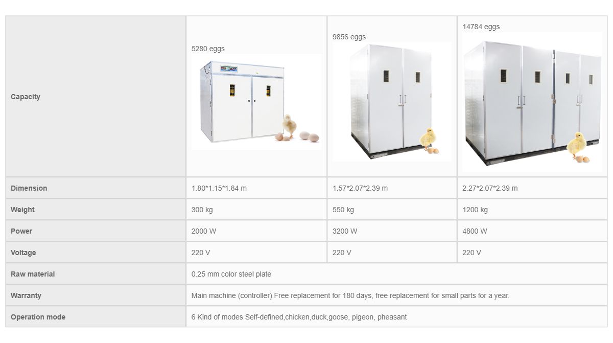 Poultry Farm Agricultural Machinery Automatic Chicken Egg Incubator Hatching 10000 Eggs image 16