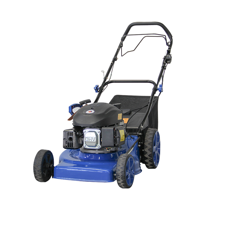 Gas Lawn Mower FMCP168-2 image 2