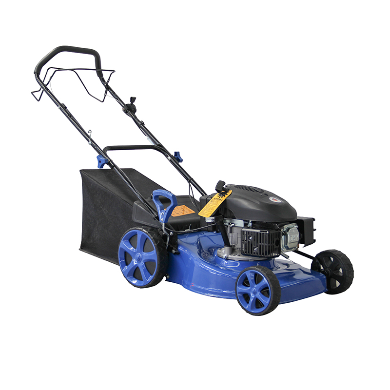 Gas Lawn Mower FMCP168-2 image 3