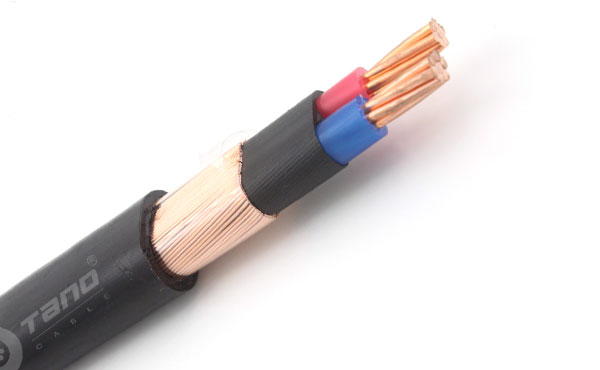 Concentric Cable for Dominica Market image 2