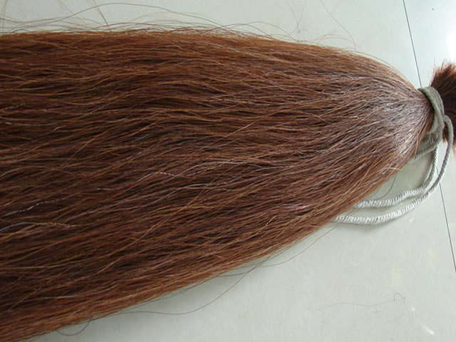 Horse Tail Hair image 3