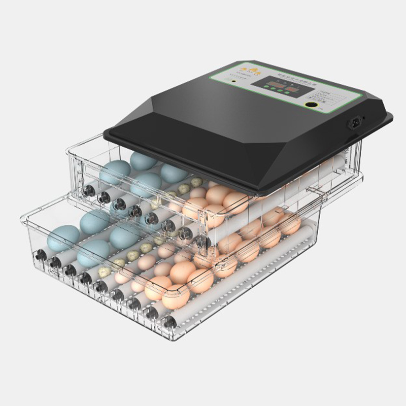 Small Egg Incubator Portable Family Use 180 Eggs Mini Incubator Popular in European and USA image 3