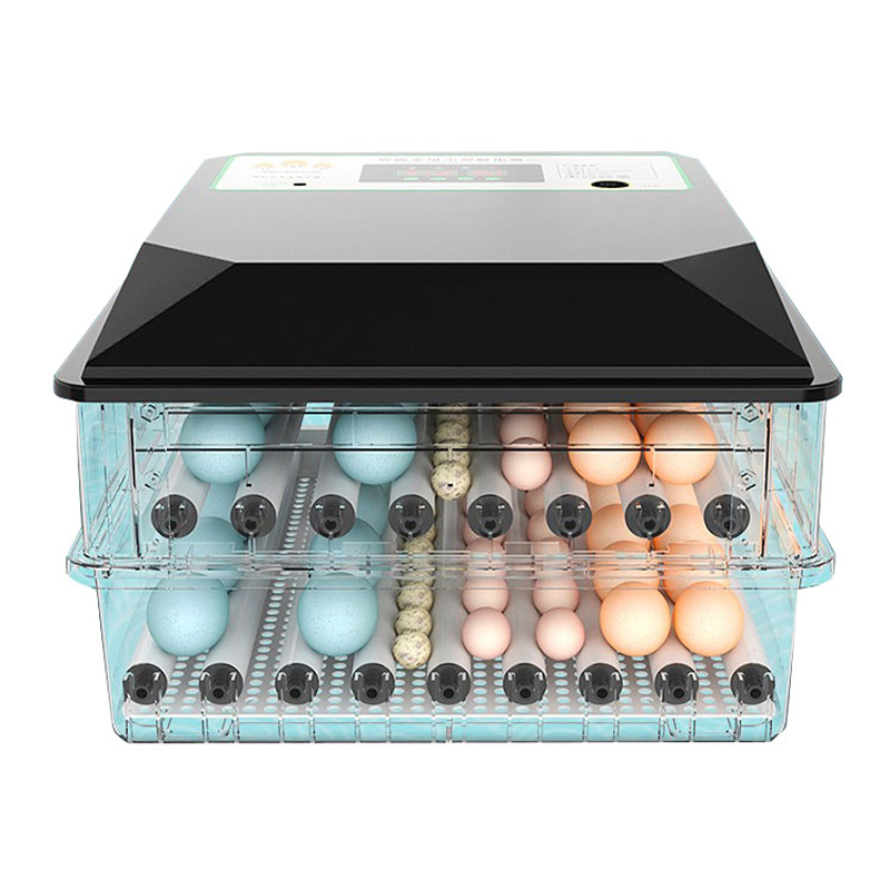 Small Egg Incubator Portable Family Use 180 Eggs Mini Incubator Popular in European and USA image 5