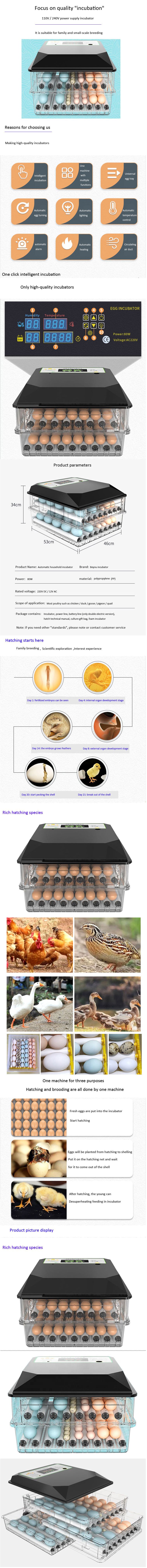 Small Egg Incubator Portable Family Use 180 Eggs Mini Incubator Popular in European and USA image 6