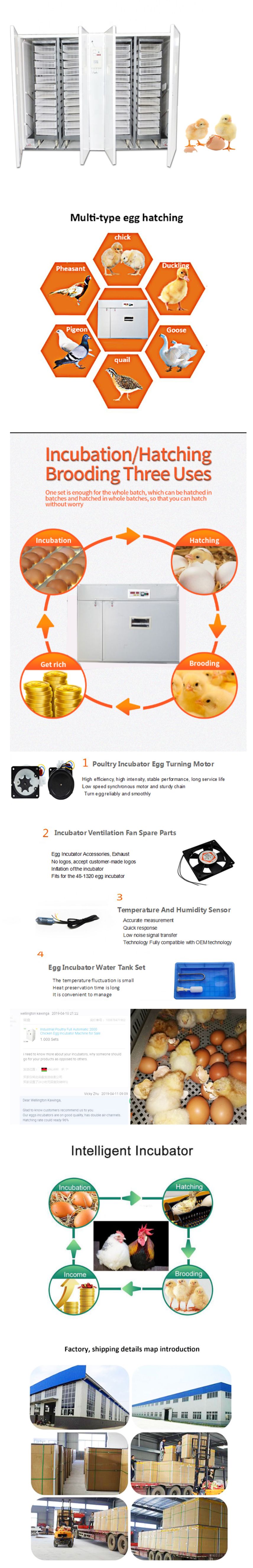 Poultry Chicken Egg Incubator Machine image 3