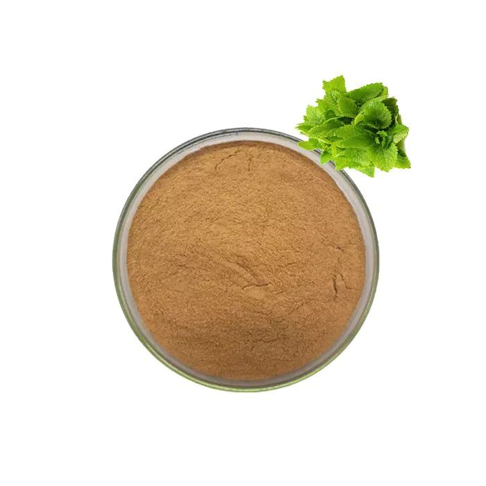 Melissa Officinalis Leaf Extract Powder image 1