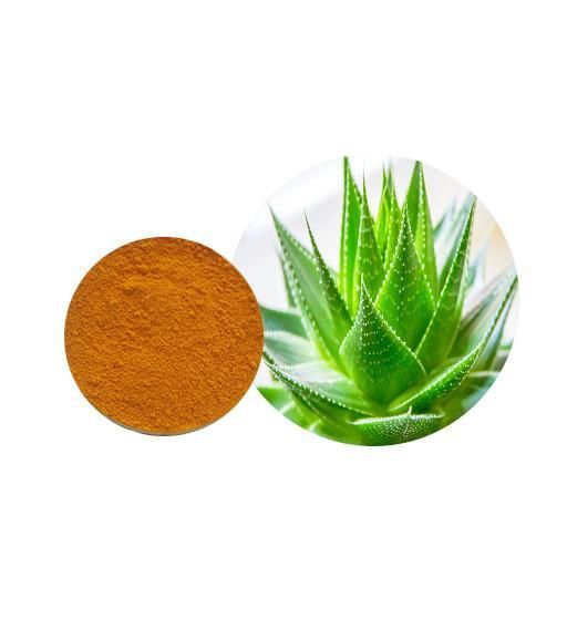 Aloe Emodin Powder image 2