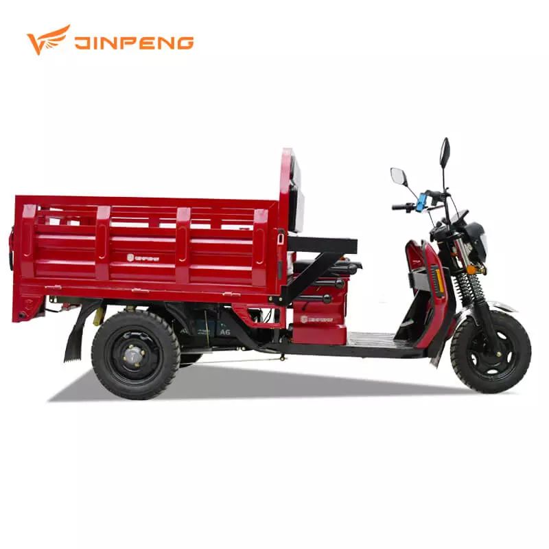 DLS150Pro Electric Cargo Tricycle image 2