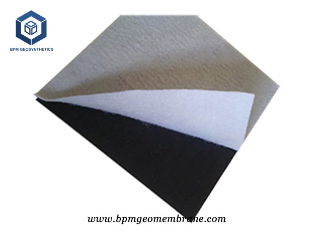 Composite Geomembrane Liner image 3