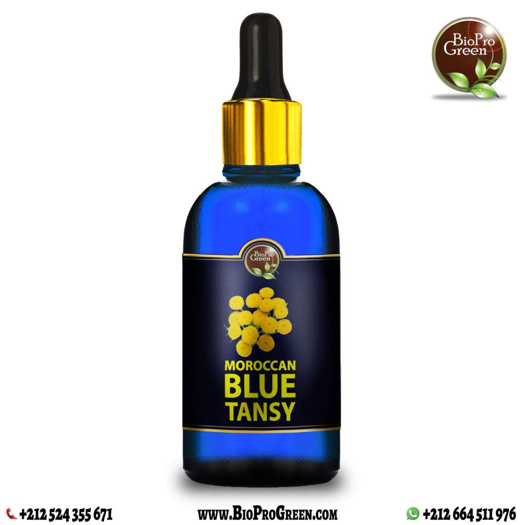 Moroccan Blue Tansy Essential Oil image 1