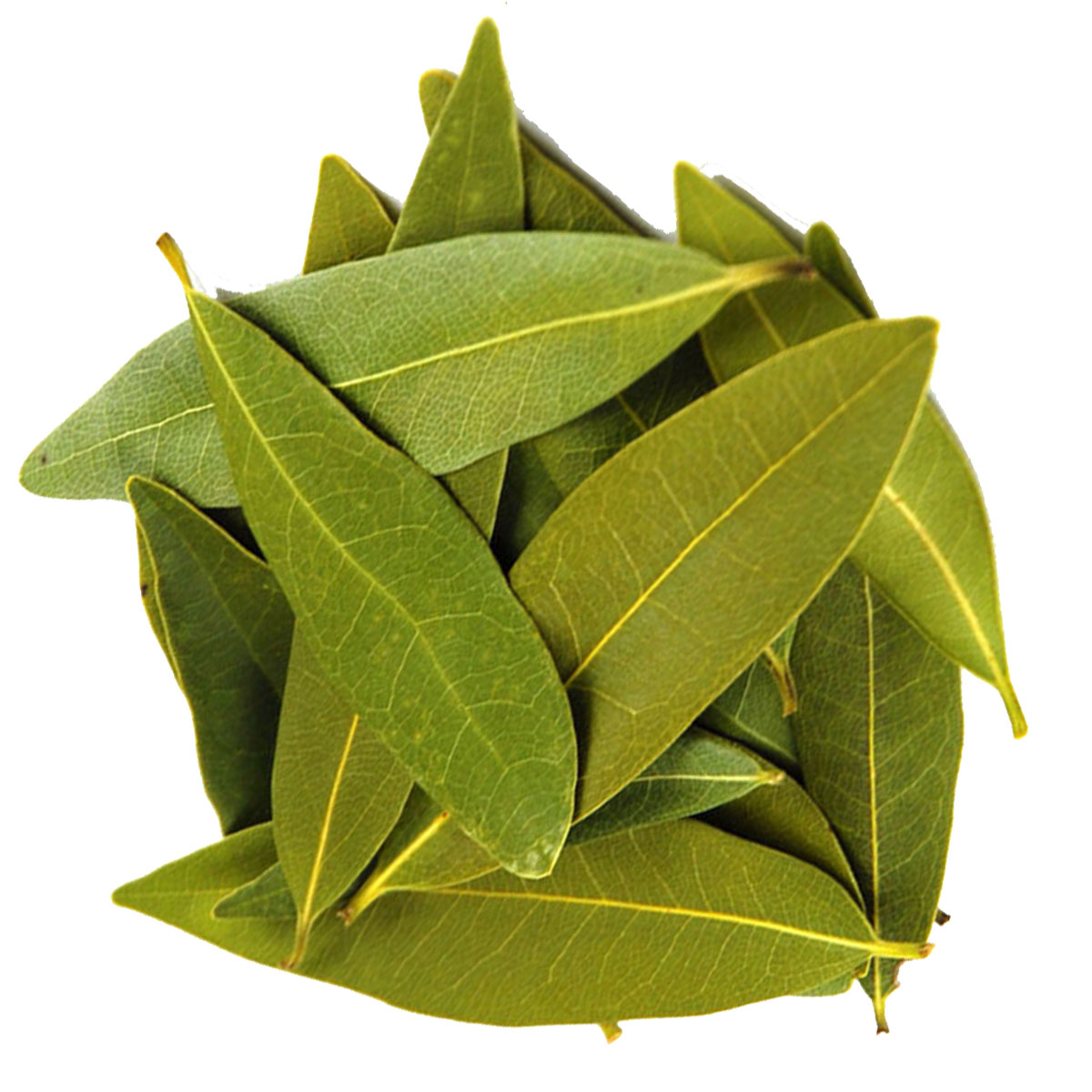 Bay Leaf Herbs