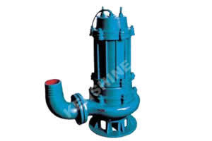 QW Submersible Sewage Pump image 1