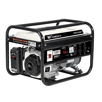 WD+ Energy Portable Petrol Generator Set Selection Sheet image 1