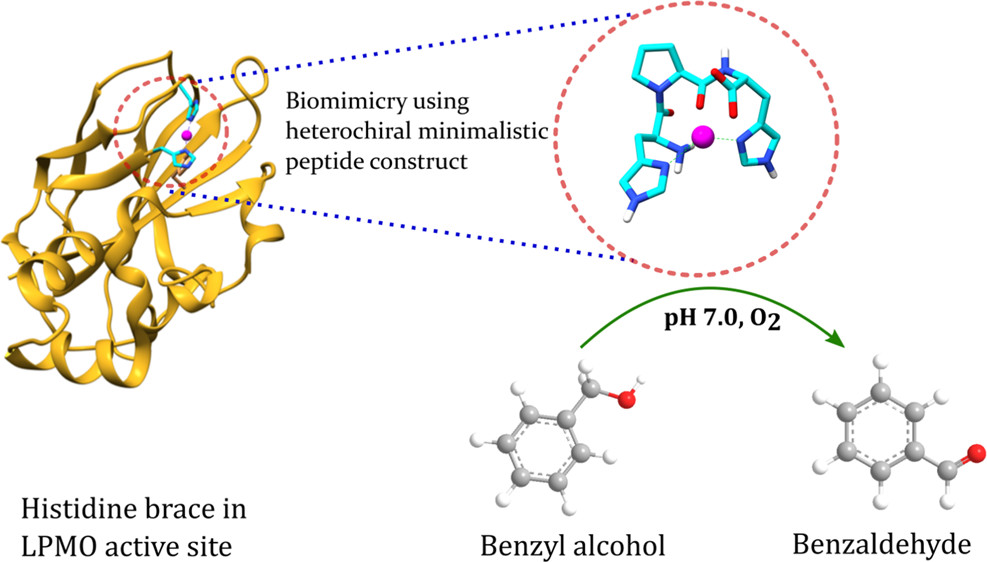 De Novo Enzyme Design Service