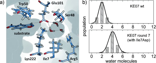 Computational Enzyme Design Services