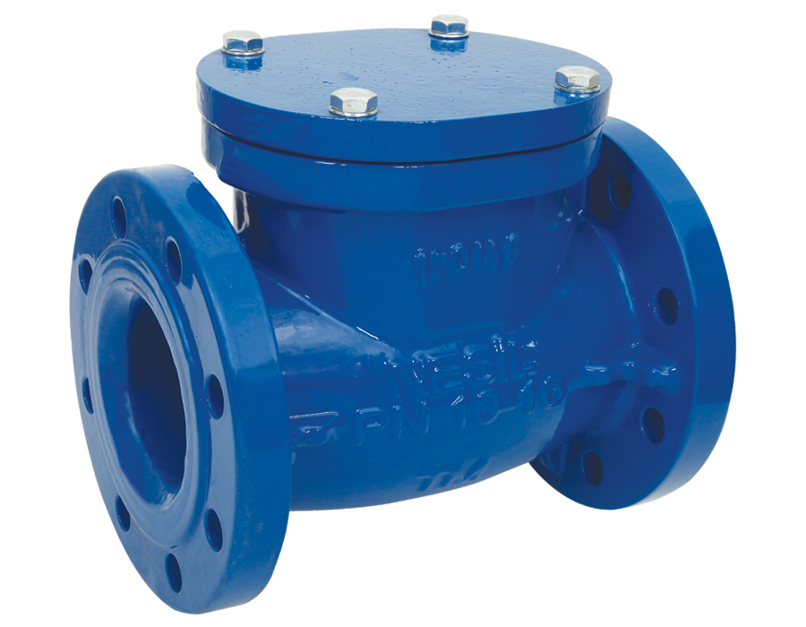 Swing Check Valve image 1