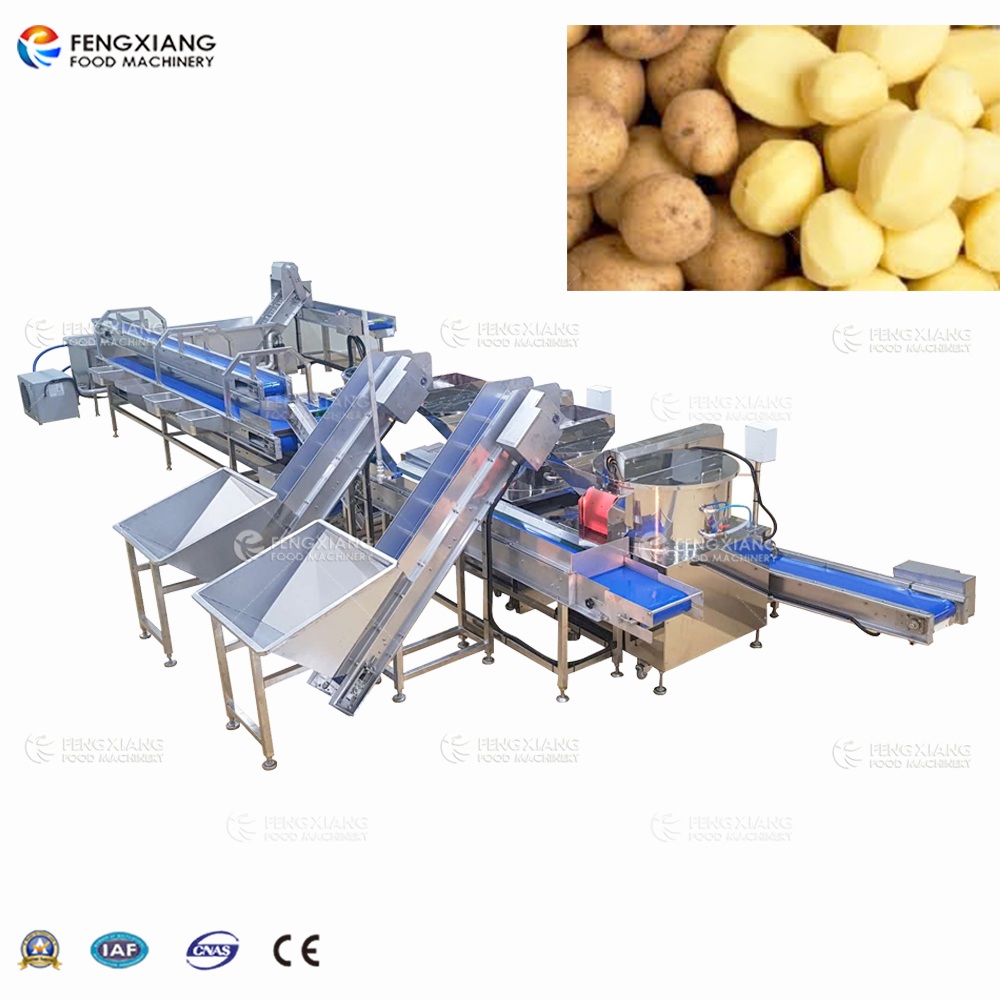 Fengxiang Commercial Potato Peeler Peeling And Washing Machine image 1