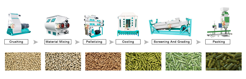 35-40T/H Feed Pellet Line image 12